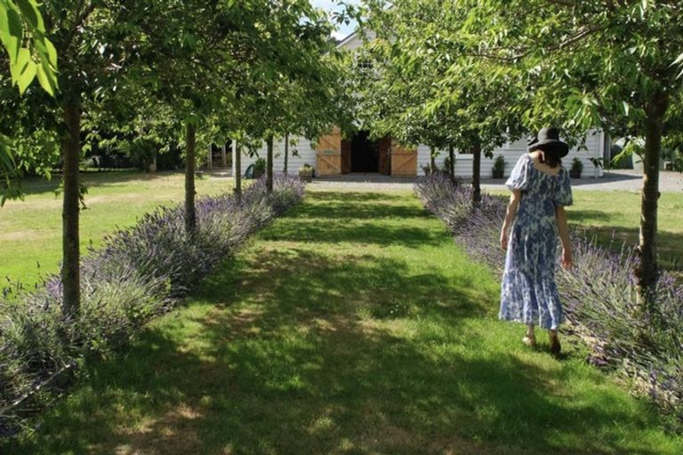 Photo of property in Tuhitarata Homestead, 2337 Kahutara Road, Pirinoa, Featherston, 5772