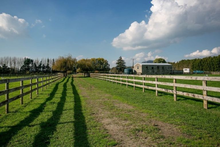 Photo of property in 298 Bellevue Road, Matangi, Cambridge, 3493