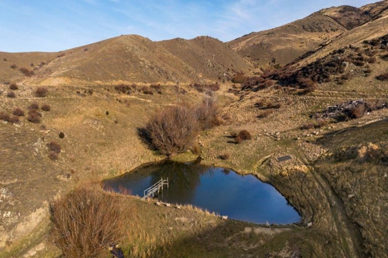 Photo of property in 236 Warburton Crescent, Te Awamutu, 3800