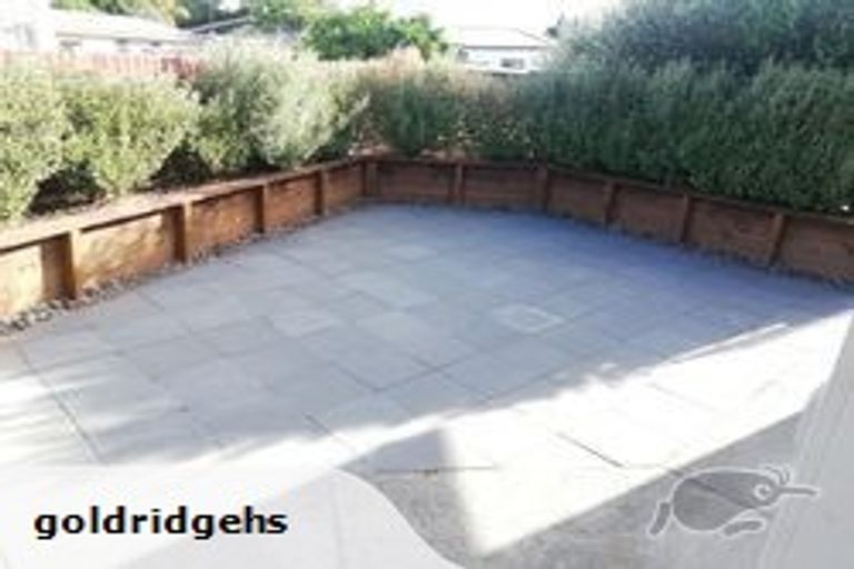 Photo of property in 19 Raymond Street, Fairview Downs, Hamilton, 3214