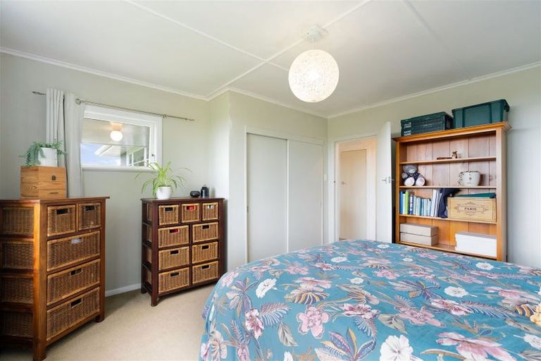 Photo of property in 51 Laward Road, Shannon, Palmerston North, 4474