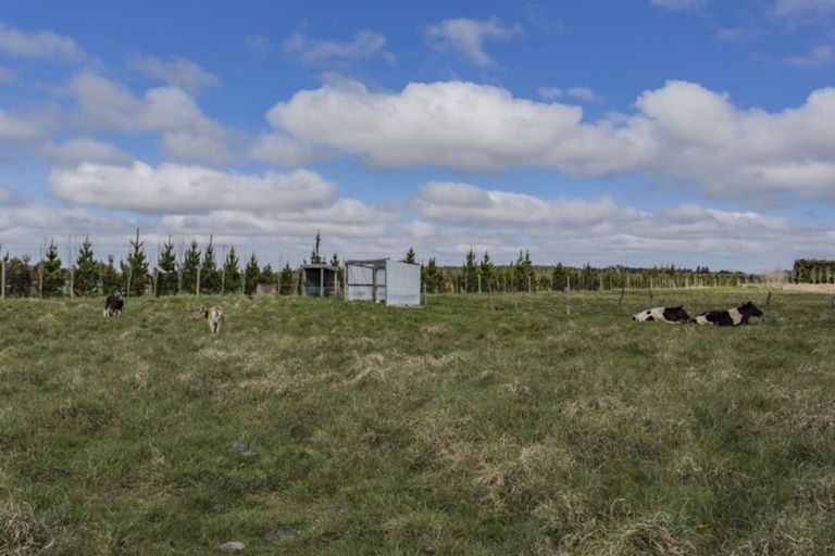 Photo of property in 866 Harewood Road, Eyrewell, Rangiora, 7476