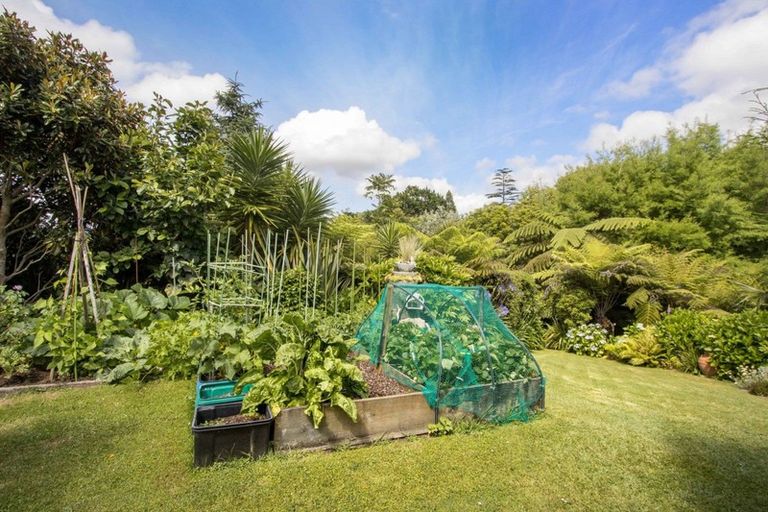 Photo of property in 17 Kent Crescent, Waihi, 3610