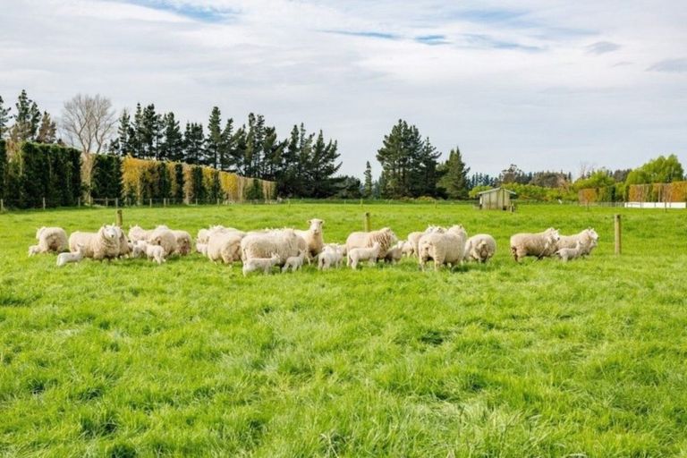 Photo of property in 2/638 Leeston Road, Springston, Christchurch, 7674