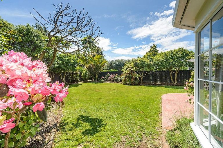 Photo of property in 65 Buick Crescent, Awapuni, Palmerston North, 4412