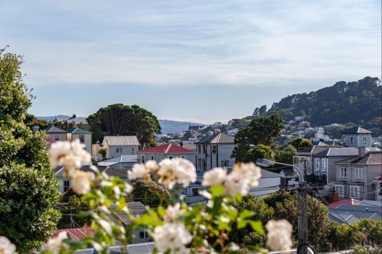 Photo of property in 18 Carrington Street, Mount Cook, Wellington, 6021