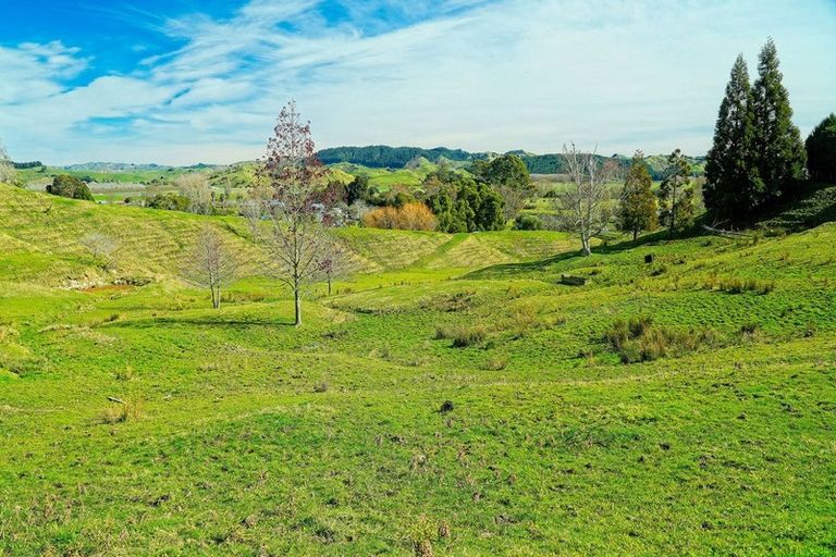 Photo of property in 40 Ormond Valley Road, Ormond, Gisborne, 4071