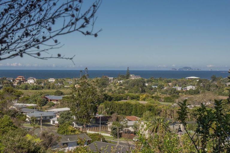 Photo of property in 317 Main Sh25 Road, Tairua, 3508