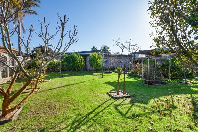 Photo of property in 33 Palm Springs Boulevard, Papamoa Beach, Papamoa, 3118