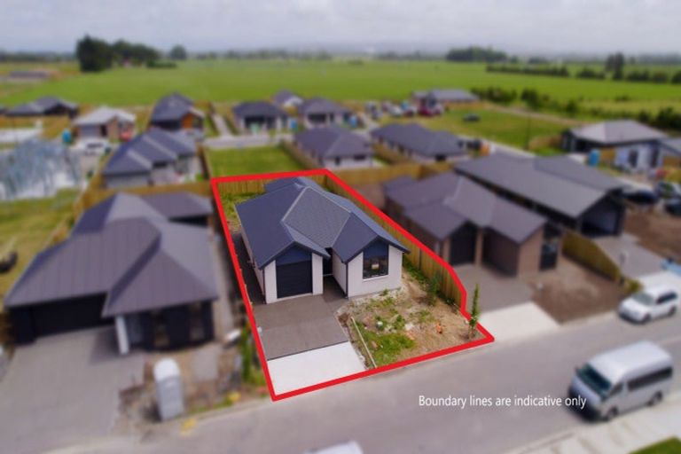 Photo of property in 39 Higgins Street, Marewa, Napier, 4110