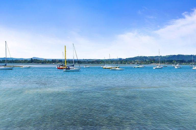 Photo of property in 4 Ash Lane, Omokoroa, 3114