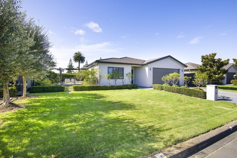 Photo of property in 31 Squire Drive, Awatoto, Napier, 4110