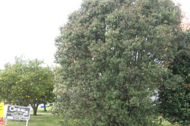 Photo of property in 16 Buchanan Street, Opotiki, 3122