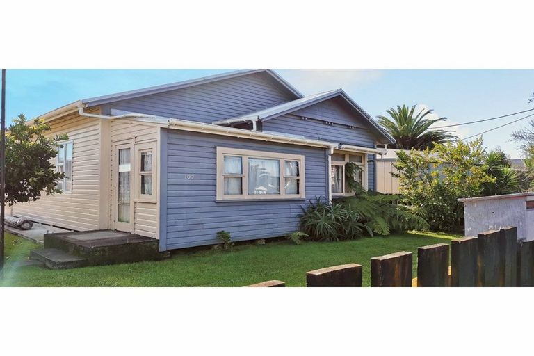 Photo of property in 107 Queen Street, Wairoa, 4108