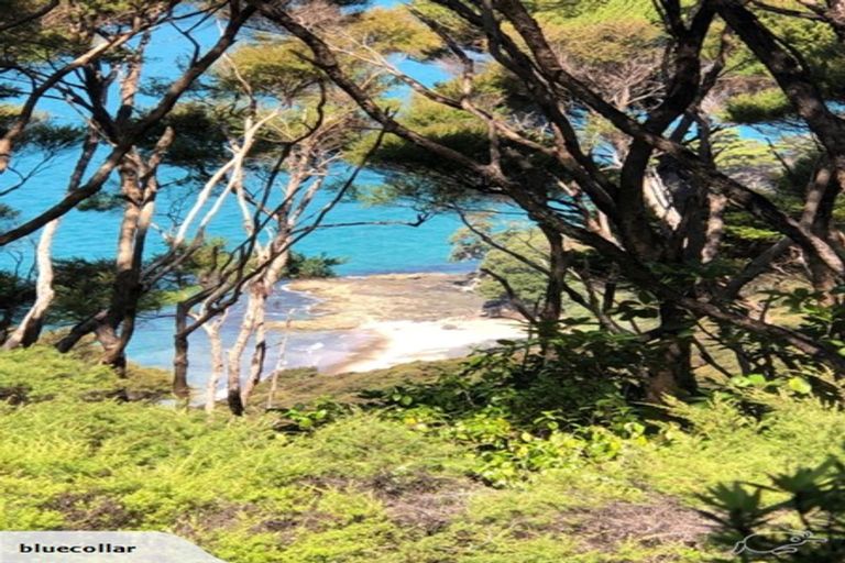 Photo of property in 193 Huaroa Road, Russell, 0272