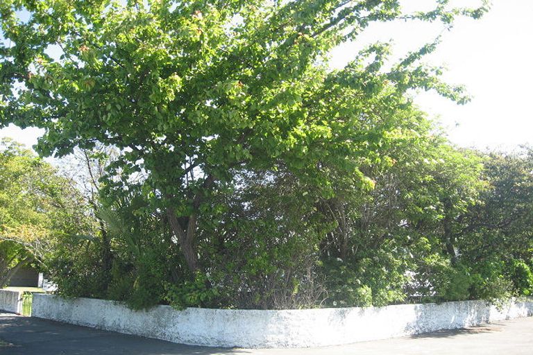 Photo of property in 215 High Street, Blenheim, 7201