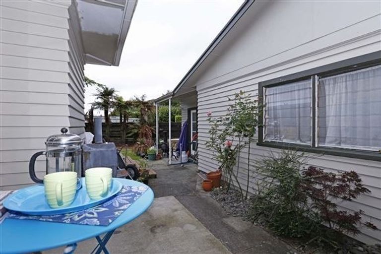 Photo of property in 31 Gillies Avenue, Claudelands, Hamilton, 3214