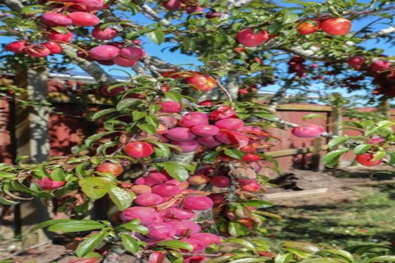 Photo of property in 15 Blundell Place, Huntly, 3700