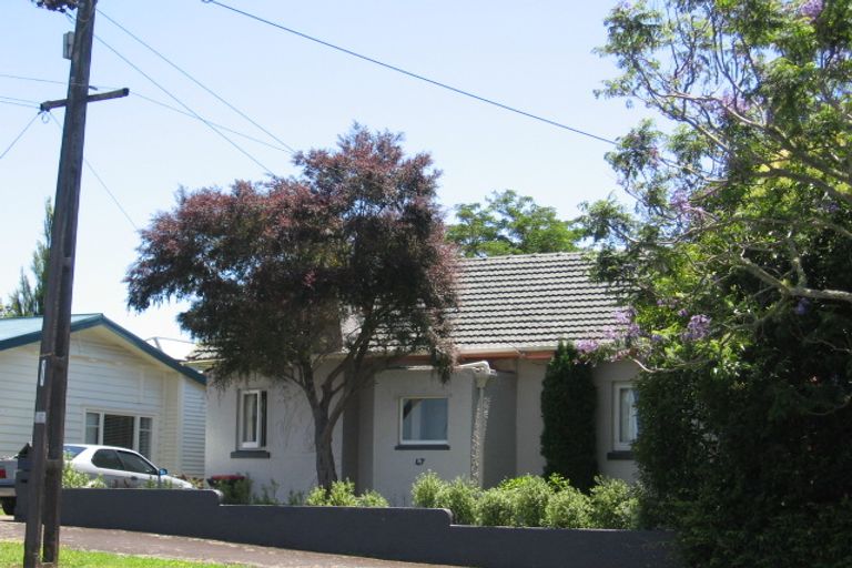 Photo of property in 47 Elizabeth Street, Mount Eden, Auckland, 1024