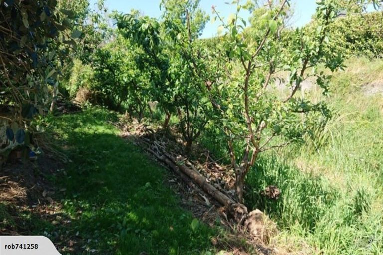 Photo of property in 55 Grey Street, Feilding, 4702