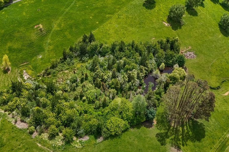 Photo of property in 76 Fletcher Road, Ngahinapouri, Ohaupo, 3290