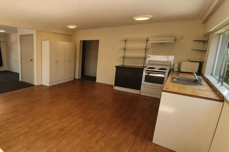 Photo of property in 1/129 Grafton Road, Grafton, Auckland, 1010