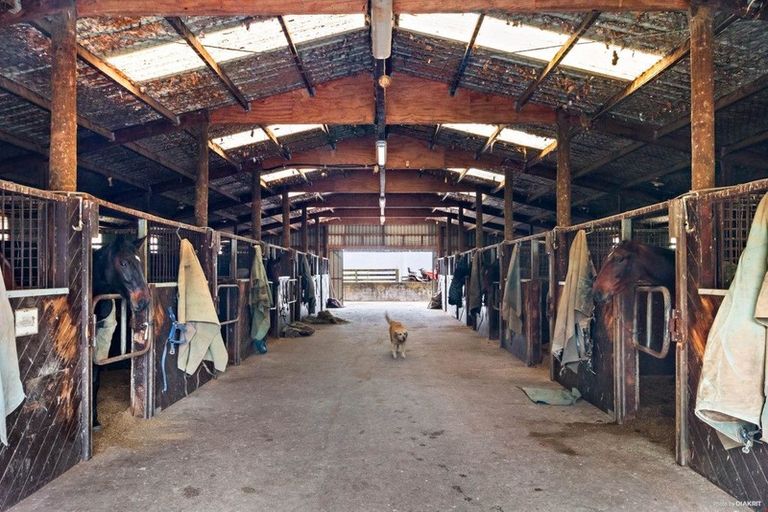 Photo of property in 150 Waiau Pa Road, Waiau Pa, Pukekohe, 2679