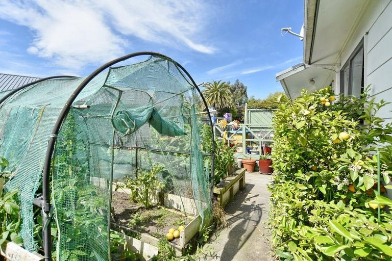 Photo of property in 46a Sneyd Street, Kaiapoi, 7630