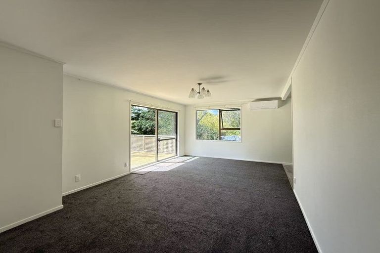 Photo of property in 74 Stredwick Drive, Torbay, Auckland, 0630