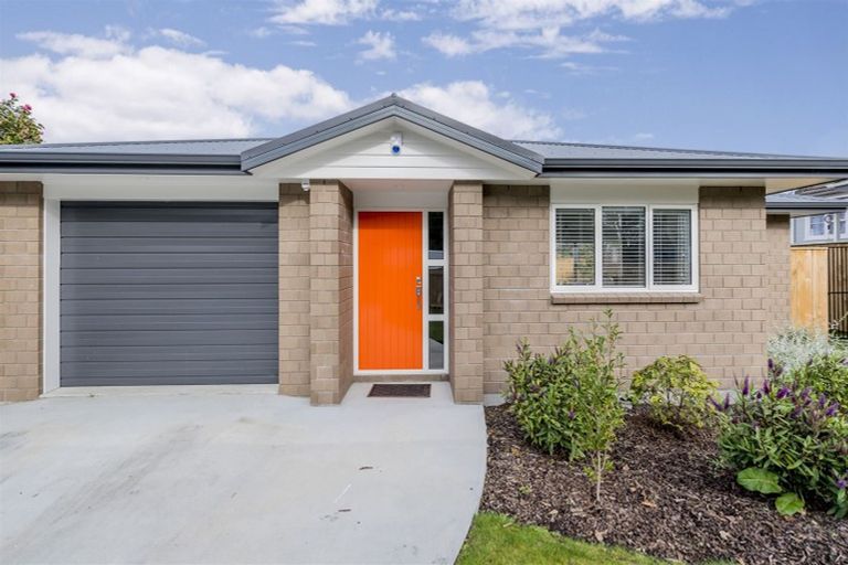 Photo of property in 55a Kings Drive, Levin, 5510