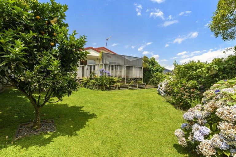 Photo of property in 151a Edgecumbe Road, Tauranga South, Tauranga, 3112