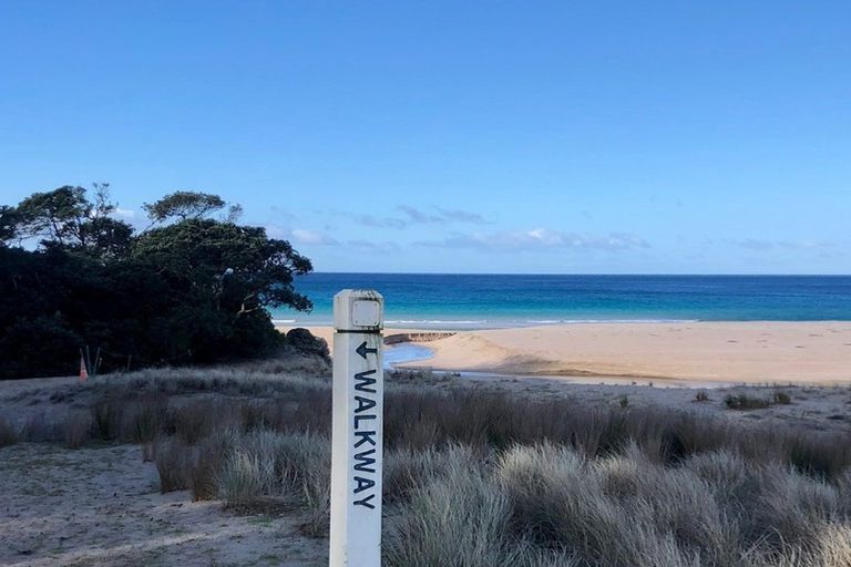 Photo of property in 203 Onemana Drive, Onemana, Whangamata, 3691