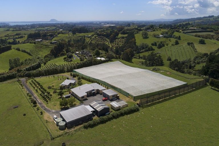 Photo of property in 108d Plummer Road, Whakamarama, Tauranga, 3179