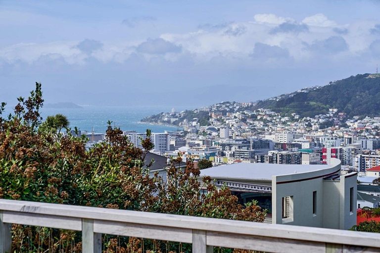 Photo of property in 44 Mortimer Terrace, Aro Valley, Wellington, 6021