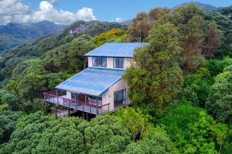 Photo of property in 101 Marine Parade North, Piha, New Lynn, 0772