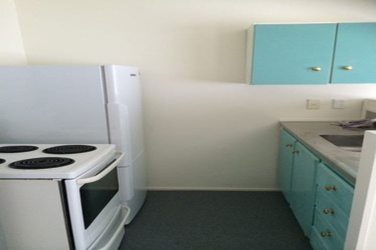 Photo of property in 43 Honiana Te Puni Street, Aro Valley, Wellington, 6021