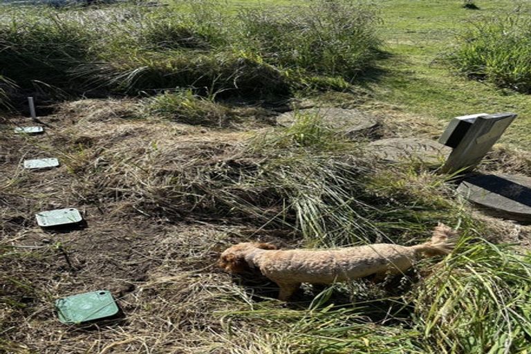 Photo of property in 17 Nunu Drive, Flat Point, Masterton, 5883