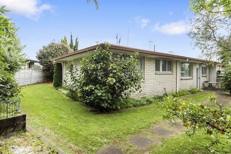 Photo of property in 2a Brookfield Terrace, Brookfield, Tauranga, 3110