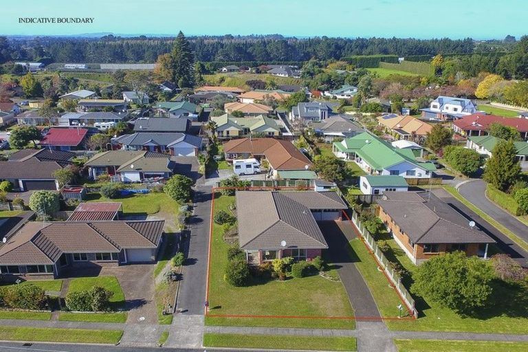 Photo of property in 156 Boucher Avenue, Te Puke, 3119