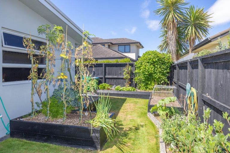 Photo of property in 19 Shalimar Place, Huntington, Hamilton, 3210