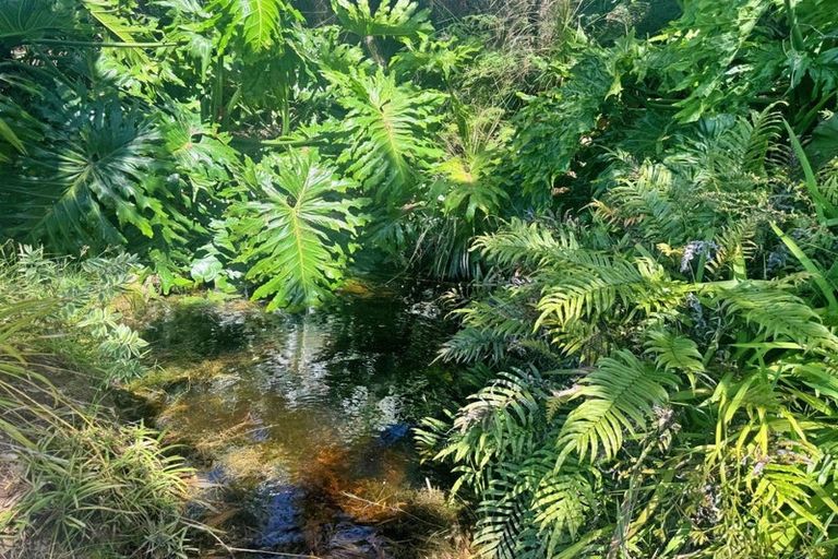 Photo of property in 83 Mcmanus Road, Houhora, Kaitaia, 0484