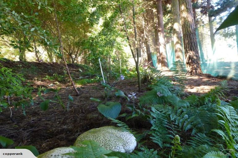 Photo of property in 72 Maindonalds Road, West Eyreton, Rangiora, 7475