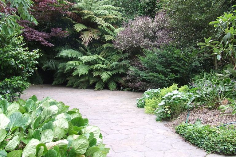 Photo of property in 11 Wanaka Street, Ravensbourne, Dunedin, 9022