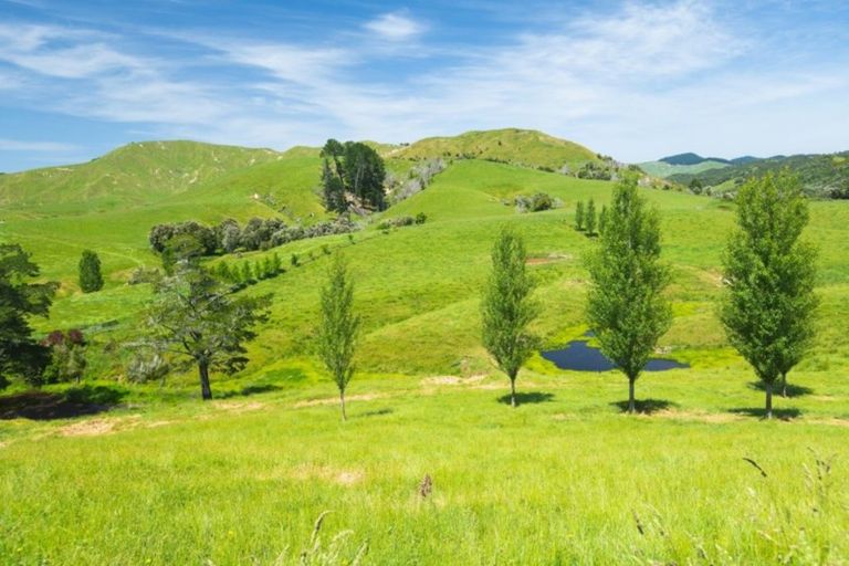 Photo of property in 809 Awamate Road, Frasertown, Wairoa, 4193