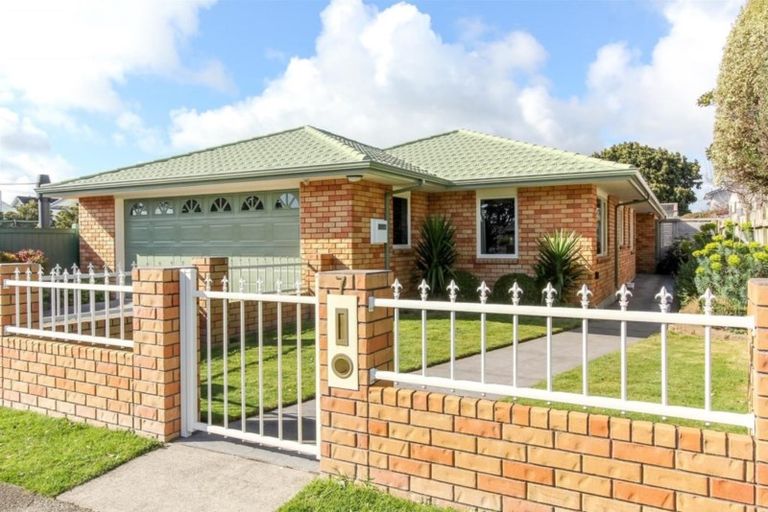 Photo of property in 87 Dorset Avenue, Lynmouth, New Plymouth, 4310