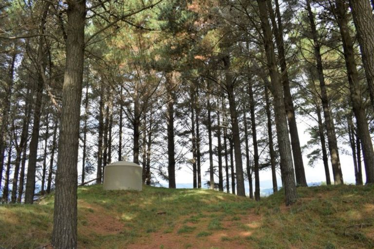 Photo of property in 101 Emma Drive, Manakau, 5573