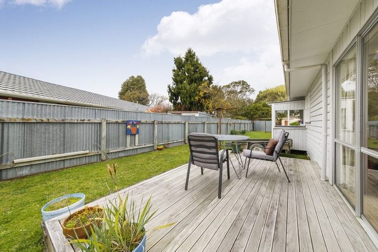 Photo of property in 202 Salisbury Street, Ashhurst, 4810