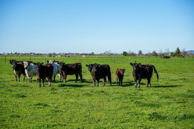 Photo of property in 90 Rawerawe Road, Ngatea, 3597