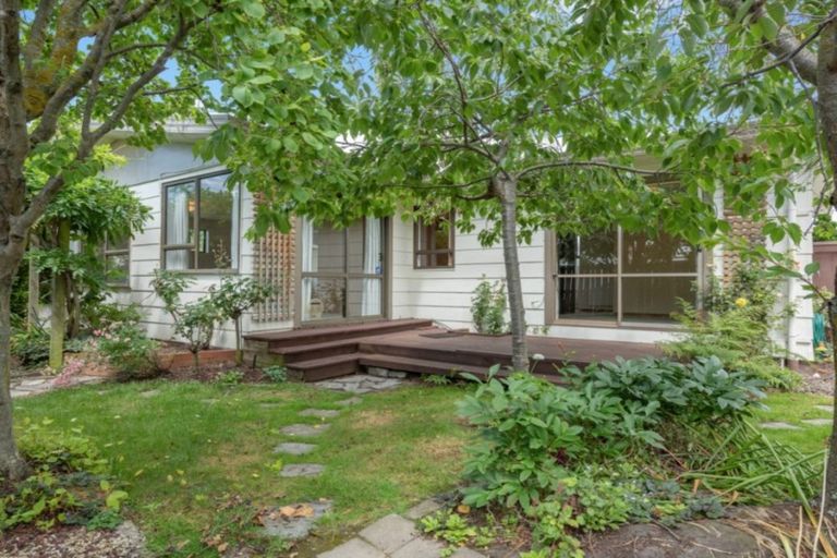 Photo of property in 60d Mclauchlan Street, Springlands, Blenheim, 7201