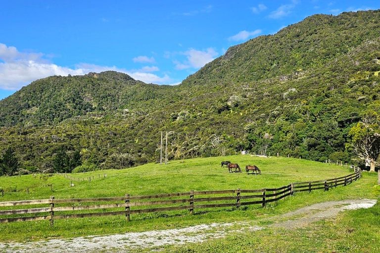 Photo of property in 281 Waiotemarama Gorge Road, Opononi, Kaikohe, 0473